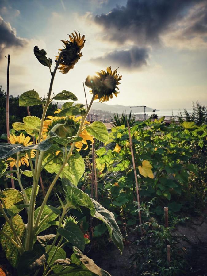 La Casa Del Sole 호텔 산레모 외부 사진